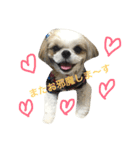 COCOSTYLELOVE（個別スタンプ：5）