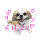 COCOSTYLELOVE（個別スタンプ：13）