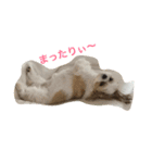猫と犬の日常使えるスタンプ（個別スタンプ：6）