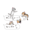 【しずか】猫だらけの吹き出し（個別スタンプ：15）