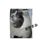ニャンダフルスタイル（個別スタンプ：2）