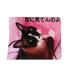ニャンダフルスタイル（個別スタンプ：6）