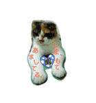 仲たがい猫。ねねとのの（個別スタンプ：8）
