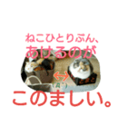 仲たがい猫。ねねとのの（個別スタンプ：12）