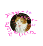 仲たがい猫。ねねとのの（個別スタンプ：13）