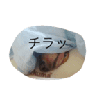 我が家のスターメルたんのスタンプ（個別スタンプ：4）