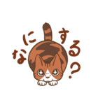 ライトとあんこ（個別スタンプ：2）