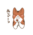 ライトとあんこ（個別スタンプ：8）