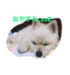 エース君♡（個別スタンプ：1）