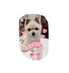 エース君♡（個別スタンプ：3）