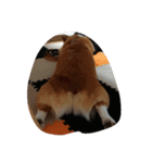 corgi mofu（個別スタンプ：2）