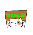 Cookie the cutest cat (JP)（個別スタンプ：18）