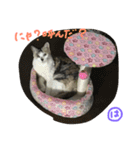 はなことさくら（個別スタンプ：4）