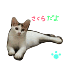はなことさくら（個別スタンプ：6）