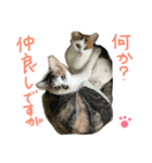 はなことさくら（個別スタンプ：7）