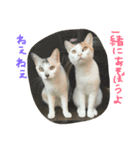 はなことさくら（個別スタンプ：12）