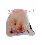のんびりイエネコ（個別スタンプ：2）