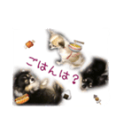 チロルちゃんスタンプ （チワワ）（個別スタンプ：7）