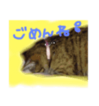 my cats gyouzatosyuumai（個別スタンプ：6）