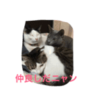 イタチとネコ（個別スタンプ：4）