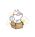 Munchkin cat, SomSom（個別スタンプ：20）