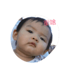 hi little p（個別スタンプ：2）