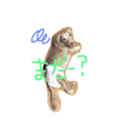 いぶとらむ2（個別スタンプ：4）