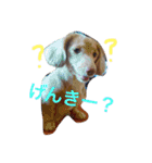 いぶとらむ2（個別スタンプ：5）
