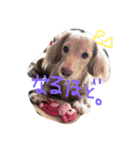 いぶとらむ2（個別スタンプ：10）