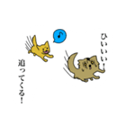 チワワのスタンプです（個別スタンプ：5）