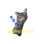 ビッグとキャリー（個別スタンプ：2）
