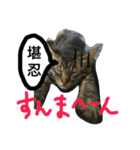 ビッグとキャリー（個別スタンプ：3）