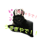 ビッグとキャリー（個別スタンプ：5）