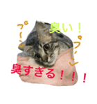 ビッグとキャリー（個別スタンプ：6）