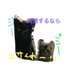 ビッグとキャリー（個別スタンプ：7）