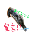 ビッグとキャリー（個別スタンプ：9）
