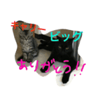 ビッグとキャリー（個別スタンプ：16）