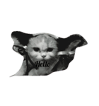 A memorable cats（個別スタンプ：3）