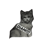 A memorable cats（個別スタンプ：4）
