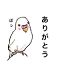 ウロコインコとセキセイ兄さんズ 第2弾（個別スタンプ：4）
