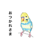 ウロコインコとセキセイ兄さんズ 第2弾（個別スタンプ：10）