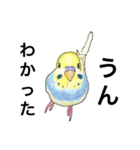ウロコインコとセキセイ兄さんズ 第2弾（個別スタンプ：18）