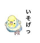 ウロコインコとセキセイ兄さんズ 第2弾（個別スタンプ：19）
