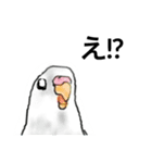 ウロコインコとセキセイ兄さんズ 第2弾（個別スタンプ：22）