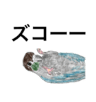 ウロコインコとセキセイ兄さんズ 第2弾（個別スタンプ：24）