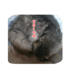 cat7（個別スタンプ：9）