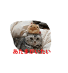 chibow2（個別スタンプ：3）