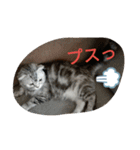 chibow2（個別スタンプ：5）