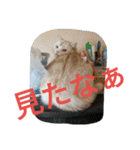 chibow2（個別スタンプ：16）