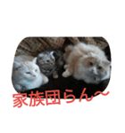 chibow2（個別スタンプ：20）